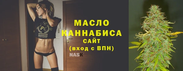 мдпв Инта