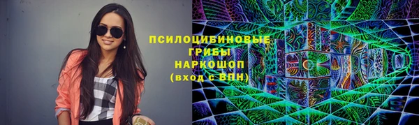мдпв Инта