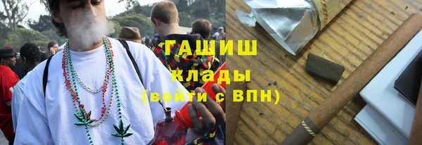 мдпв Инта