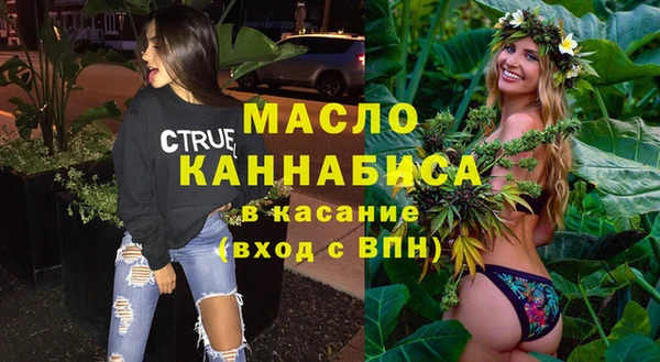 мдпв Инта