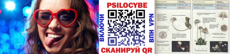 Псилоцибиновые грибы Psilocybine cubensis  где купить   Соль-Илецк 