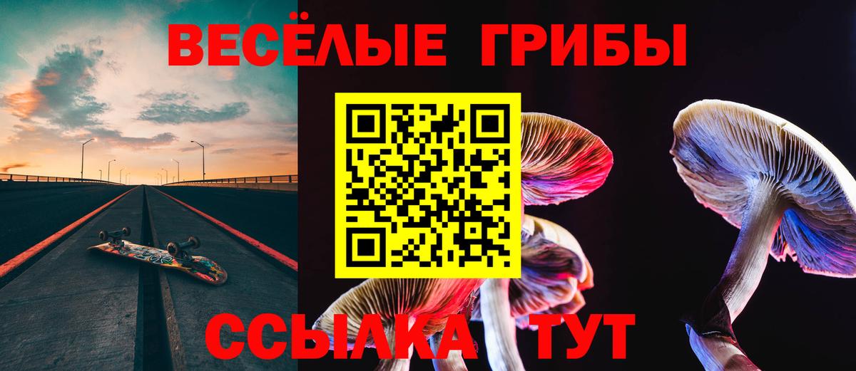 Псилоцибиновые грибы ЛСД  Галлюциногенные грибы Psilocybine cubensis  Вход с VPN  Соль-Илецк 